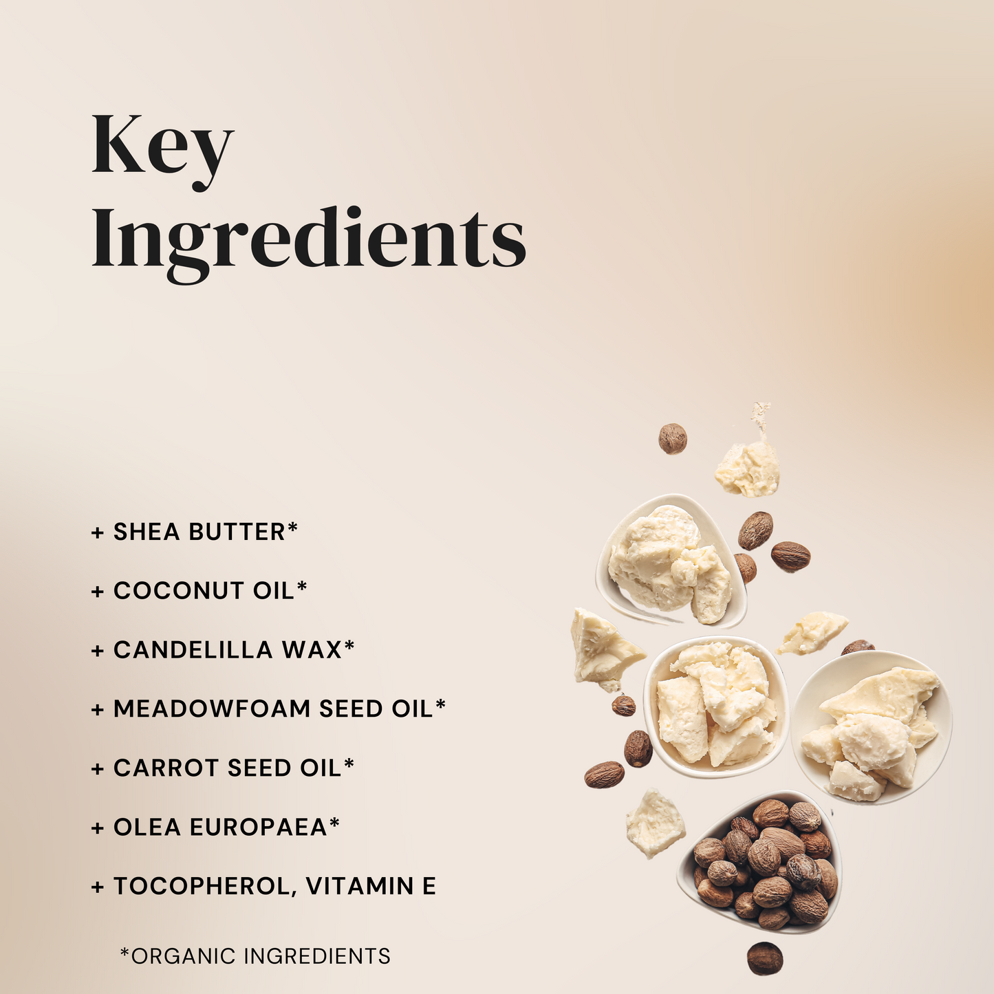 Natural Lip Balm - SPF 5